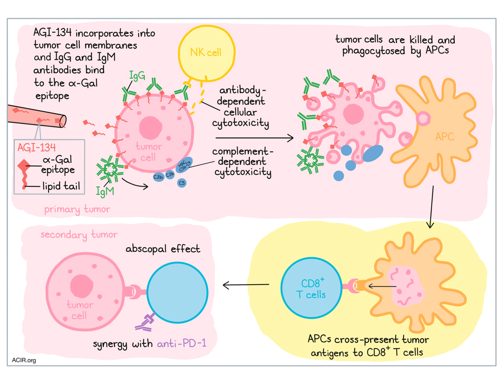 Kickstarting the cancer immunity cycle with AGI-134