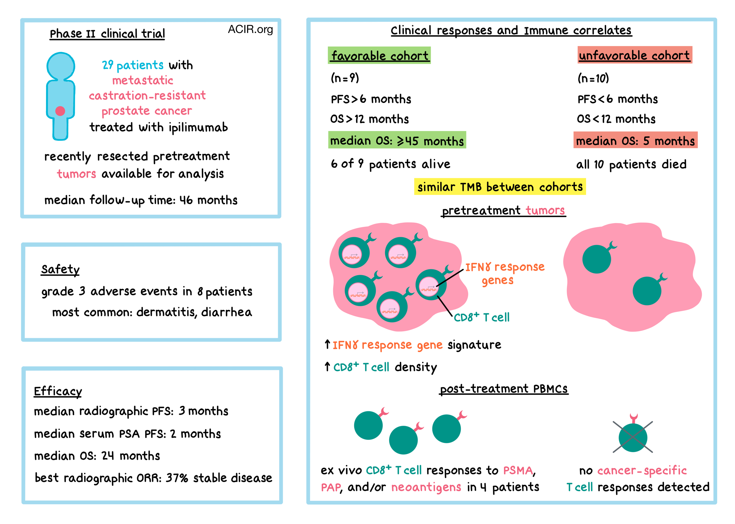 Just a few neoantigens may be enough for T cells to control