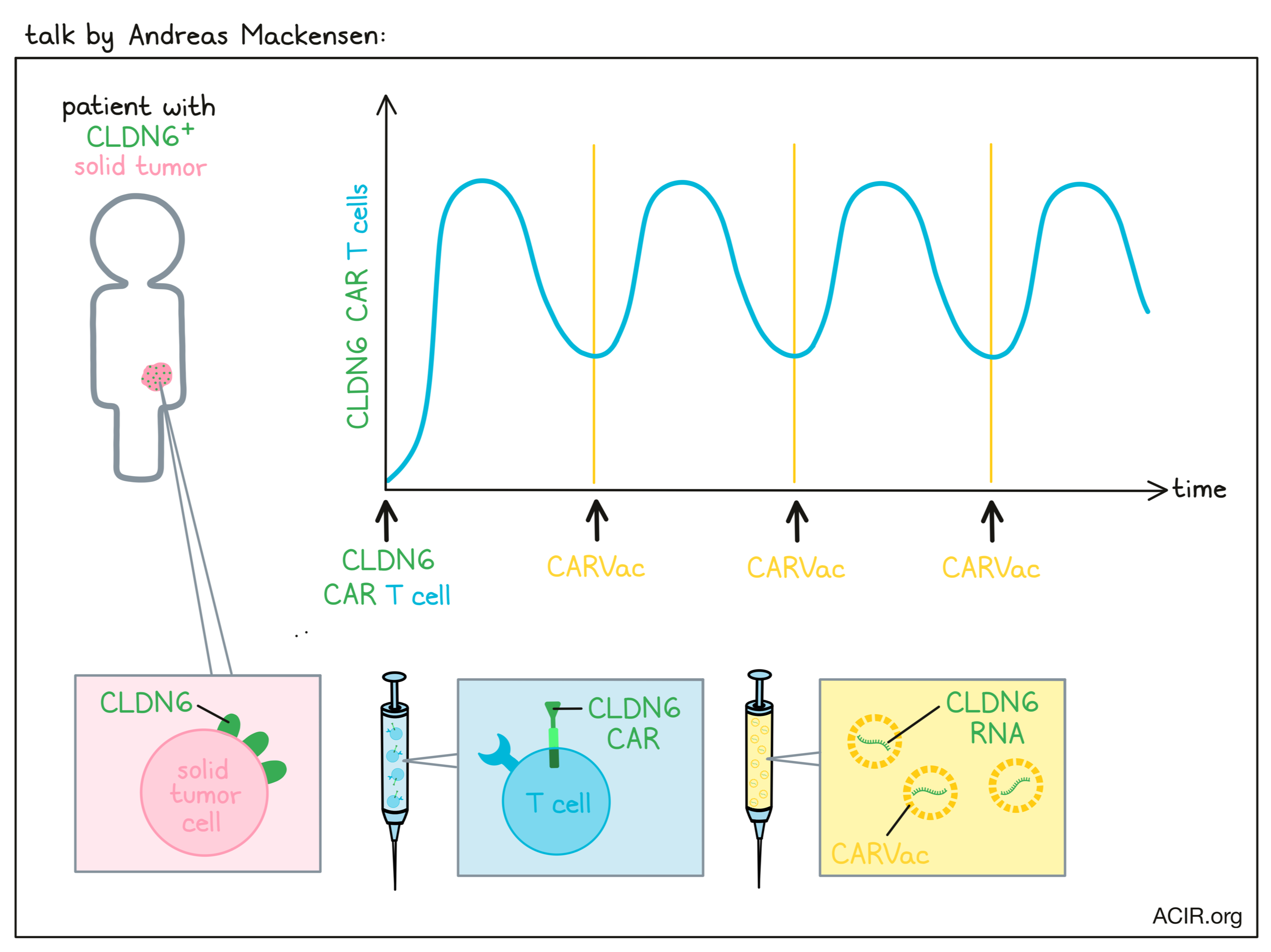 The holy grail: pan-cancer-targeting T cells