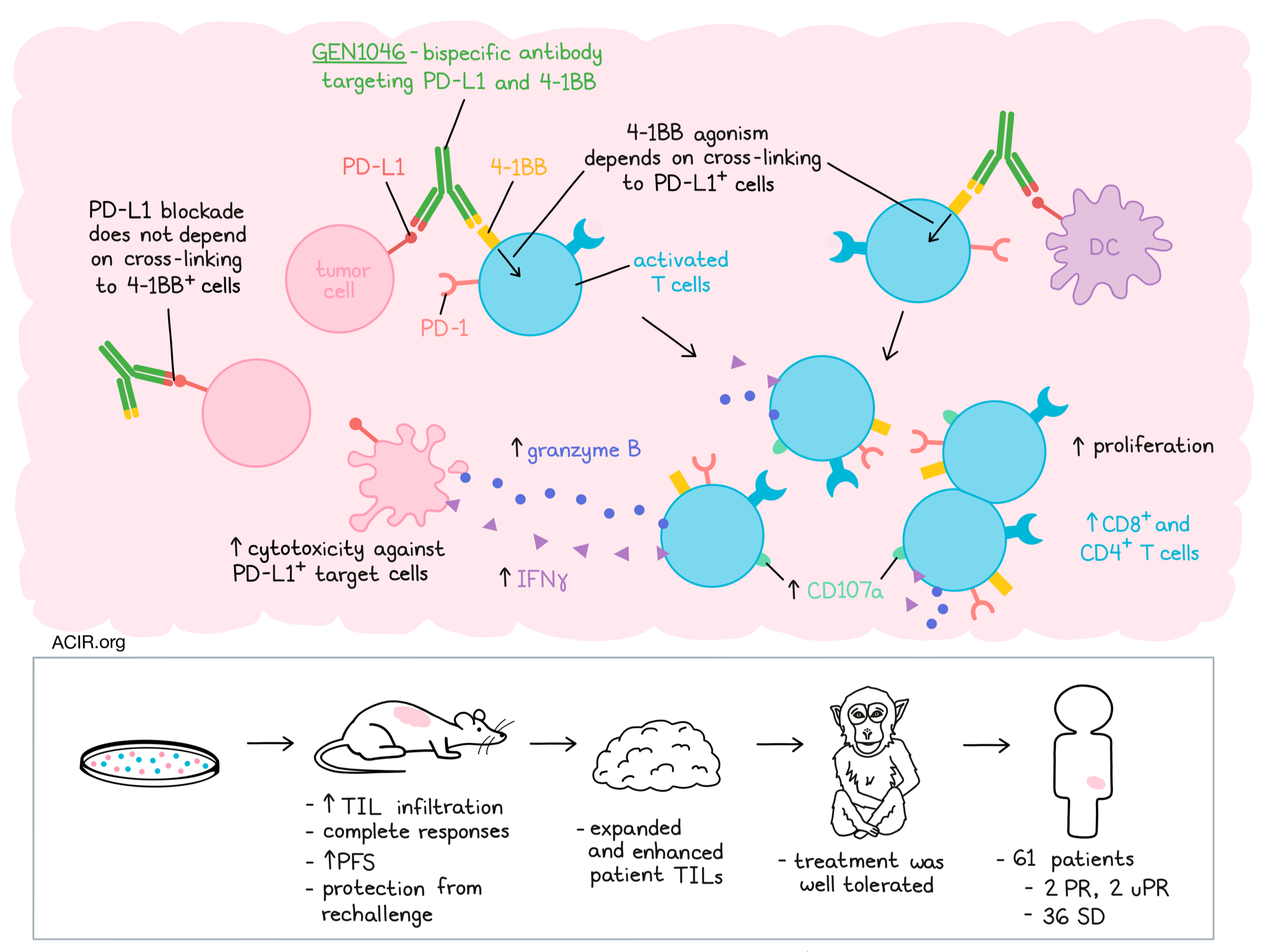 Make It A Double: Bispecific Antibodies Targeting PD-1 And, 45% OFF